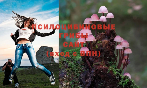 каннабис Костерёво