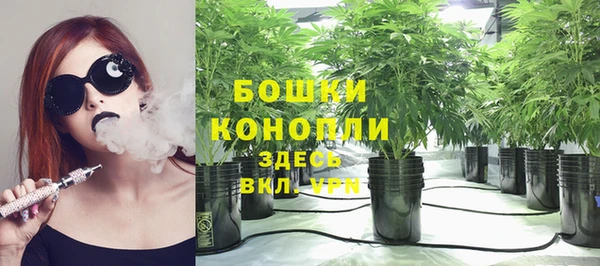 spice Кодинск