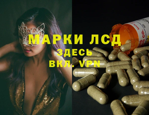 стаф Краснослободск